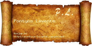 Pontyos Levente névjegykártya